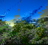 Classic Kuranda by Skyrail and Scenic Railway Including Rainforestation Koala and Wildlife Park and Pamagirri Aboriginal Experi - Holiday Jervis Bay