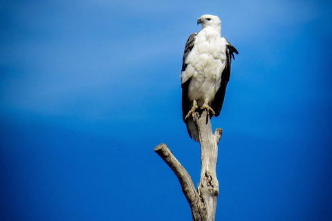 Kangaroo Island 75-Minute Ocean Safari - Holiday Jervis Bay 0