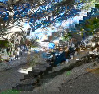 1/2 day Swan Valley Wine Cheese  Chocolate Tour Inc Afternoon Cruise to Perth - Holiday Jervis Bay