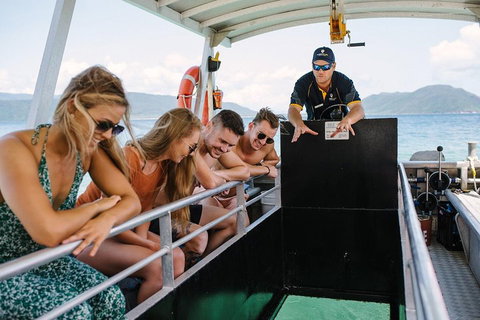 Fitzroy Island Day Trip From Cairns - Holiday Jervis Bay 4