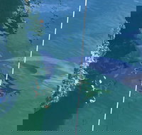 Dolphin Cruise from Adelaide with Optional Dolphin Swim - Holiday Jervis Bay