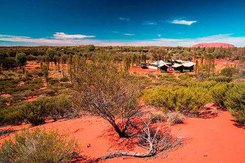 Overnight Uluru (Ayers Rock) Small-Group Camping Tour - Holiday Jervis Bay 2