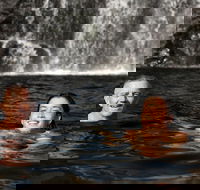 3 Day 4WD Dragonfly Dreaming Top End Safari - Holiday Jervis Bay