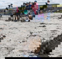 Kangaroo Island in a Day Tour from Adelaide - Holiday Jervis Bay