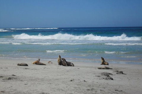 Kangaroo Island In A Day Tour From Adelaide - Holiday Jervis Bay 1