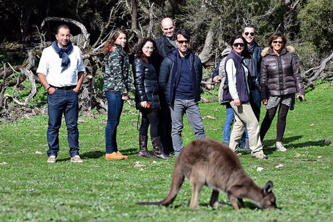 2-Day Kangaroo Island 4WD Small-Group Tour From Adelaide - Holiday Jervis Bay 1