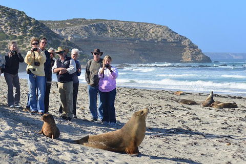 2-Day Kangaroo Island 4WD Small-Group Tour From Adelaide - Holiday Jervis Bay 3
