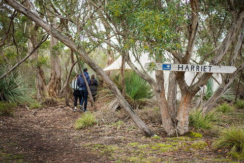2-Day Kangaroo Island 4WD Small-Group Tour From Adelaide - Holiday Jervis Bay 5
