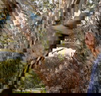 NEW TOUR - Kangaroo Island Road to Recovery Tour 1 Day/1 Night - Holiday Jervis Bay