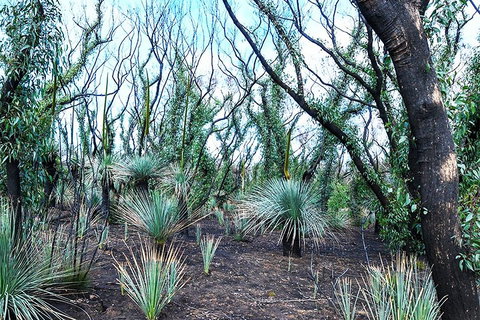 NEW TOUR - Kangaroo Island Road To Recovery Tour (1 Day/1 Night) - Holiday Jervis Bay 3