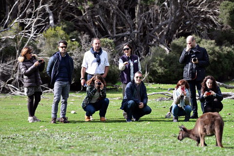 Small-Group Kangaroo Island 4WD Tour From Adelaide - Holiday Jervis Bay 2