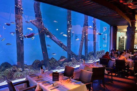 Cairns Aquarium And Small Group City Sightseeing Tour - Holiday Jervis Bay 4