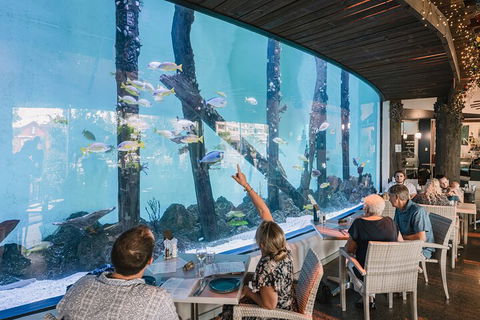 Cairns Aquarium Tour By Twilight With Drink And Appetiser - Holiday Jervis Bay 3