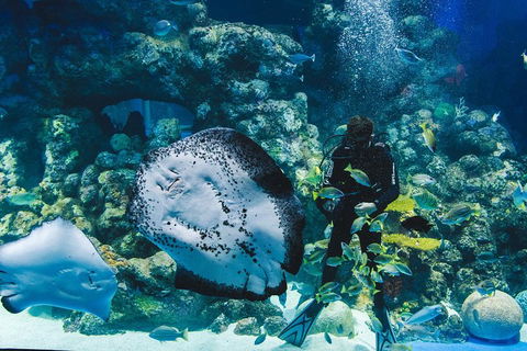Cairns Aquarium Family Ticket - Holiday Jervis Bay 4