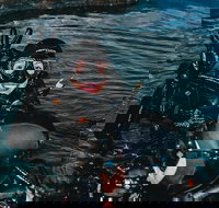 Cairns Aquarium Dive with the Sharks - Holiday Jervis Bay