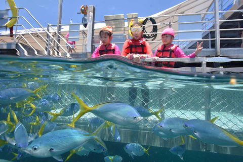 Outer Reef Pontoon Experience From Cairns - Holiday Jervis Bay 0