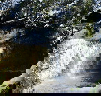 Cradle Mountain Day Tour from Launceston Including Lunch - Holiday Jervis Bay