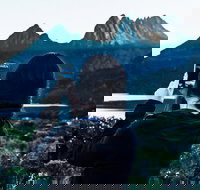 Cradle Mountain Park Explorer Guided Tour - Holiday Jervis Bay