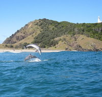 Kayaking with Dolphins in Byron Bay Guided Tour - Holiday Jervis Bay