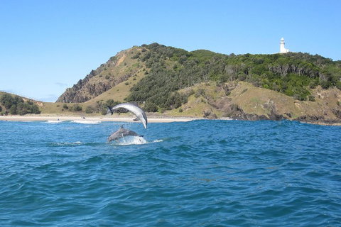 Kayaking With Dolphins In Byron Bay Guided Tour - Holiday Jervis Bay 0