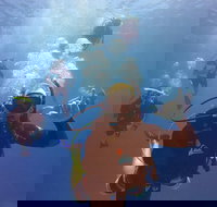 12-Day Great Barrier Reef Marine Conservation Program from Cairns - Holiday Jervis Bay