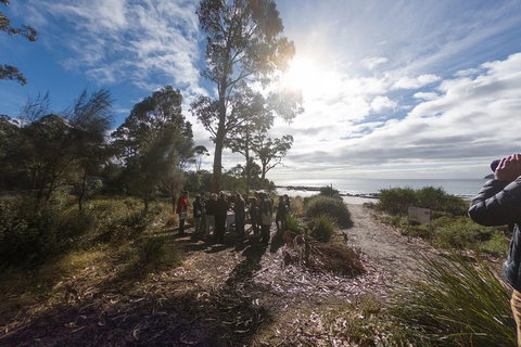 Bruny Island Day Tour, Includes Lunch And Exclusive Lighthouse Tour - Holiday Jervis Bay 5
