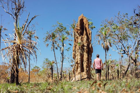 Litchfield National Park Waterfalls And Wildlife Tour From Darwin - Holiday Jervis Bay 4