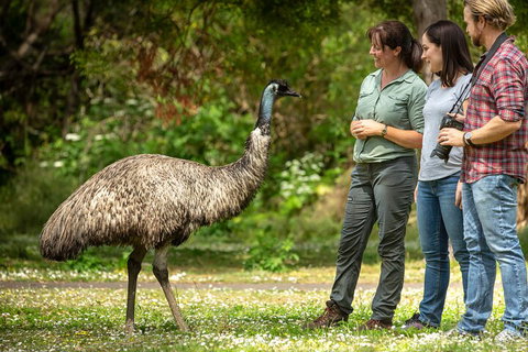 Great Ocean Road 2 Day Highlights Tour And Sunset 12 Apostles - Holiday Jervis Bay 0