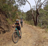 Mount Lofty Descent Bike Tour from Adelaide - Holiday Jervis Bay
