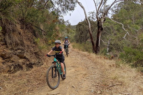 Mount Lofty Descent Bike Tour From Adelaide - Holiday Jervis Bay 0
