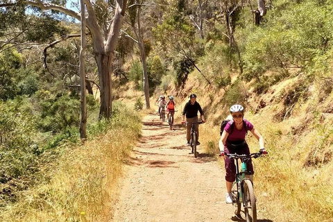 Mount Lofty Descent Bike Tour From Adelaide - Holiday Jervis Bay 3