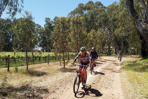 McLaren Vale Wine Tour By Bike - Holiday Jervis Bay 1