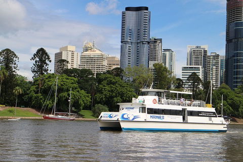 Lone Pine Koala Sanctuary Admission With Brisbane River Cruise - Holiday Jervis Bay 2