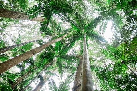 Fraser Explorer K'gari 2-Day Tour - Holiday Jervis Bay 2