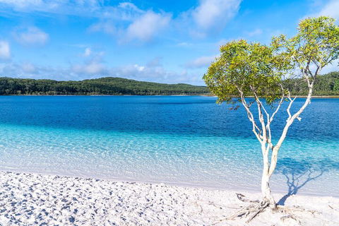 Lake McKenzie Full-Day Tour With Lunch From Hervey Bay - Holiday Jervis Bay 1