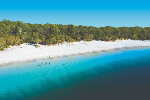 Lake McKenzie Full-Day Tour With Lunch From Hervey Bay - Holiday Jervis Bay 4