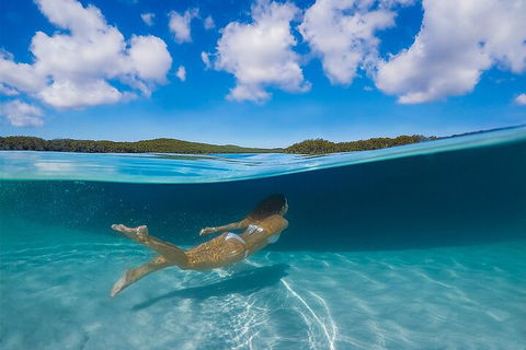 Lake McKenzie Full-Day Tour With Lunch From Hervey Bay - Holiday Jervis Bay 5