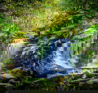 Day Tour in Mt. Field Mt. Wellington Bonorong Wildlife Sanctuary and Richmond - Holiday Jervis Bay