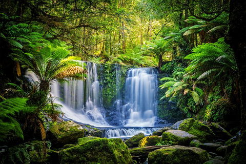 Day Tour In Mt. Field, Mt. Wellington, Bonorong Wildlife Sanctuary And Richmond - Holiday Jervis Bay 0