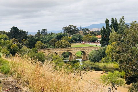 Day Tour In Mt. Field, Mt. Wellington, Bonorong Wildlife Sanctuary And Richmond - Holiday Jervis Bay 3