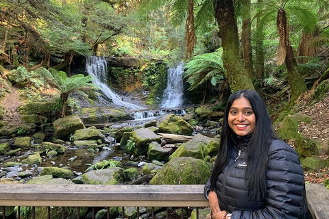 Day Tour In Mt. Field, Mt. Wellington, Bonorong Wildlife Sanctuary And Richmond - Holiday Jervis Bay 5