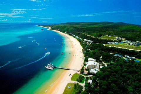 Tangalooma Island Resort Whale Watching Day Cruise - Holiday Jervis Bay 2