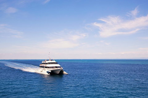 Tangalooma Island Resort Whale Watching Day Cruise - Holiday Jervis Bay 5