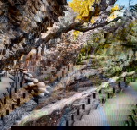 Kakadu National Park Cultural Experience - Holiday Jervis Bay