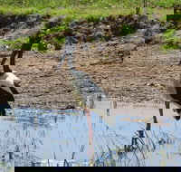 Darwin to Kakadu Day Trip by Air Including Yellow Water Cruise - Holiday Jervis Bay