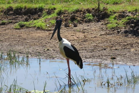 Darwin To Kakadu Day Trip By Air Including Yellow Water Cruise - Holiday Jervis Bay 0