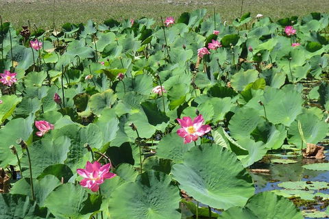 Darwin To Kakadu Day Trip By Air Including Yellow Water Cruise - Holiday Jervis Bay 2