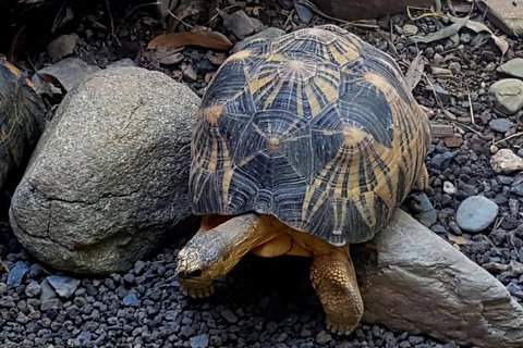 Hartley's Crocodile Adventures General Entry Ticket - Holiday Jervis Bay 2