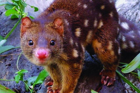 Hartley's Crocodile Adventures General Entry Ticket - Holiday Jervis Bay 4