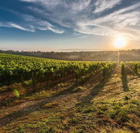 Perth to Margaret River Wine Tour - 2 Day Premium Boutique Wine Tour Experience - Holiday Jervis Bay